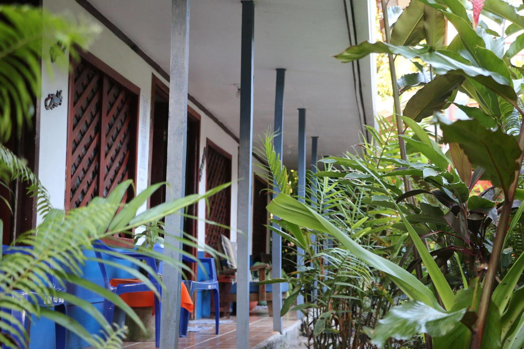 La Casona De Tortuguero Hotel Exterior photo