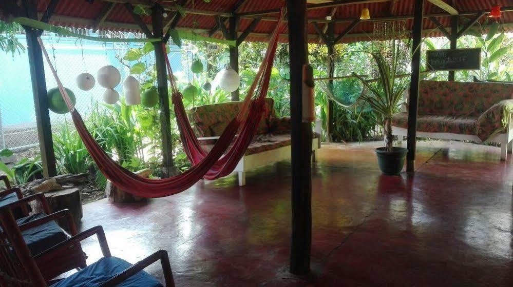 La Casona De Tortuguero Hotel Exterior photo